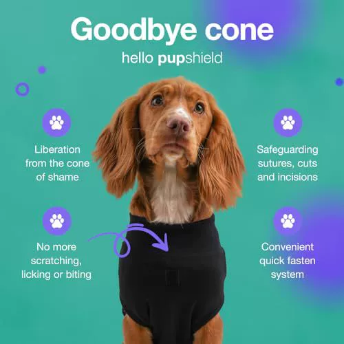 Pet sterilization suit wound anti licking suit suitable for all body types of dogs surgical recovery clothing set 