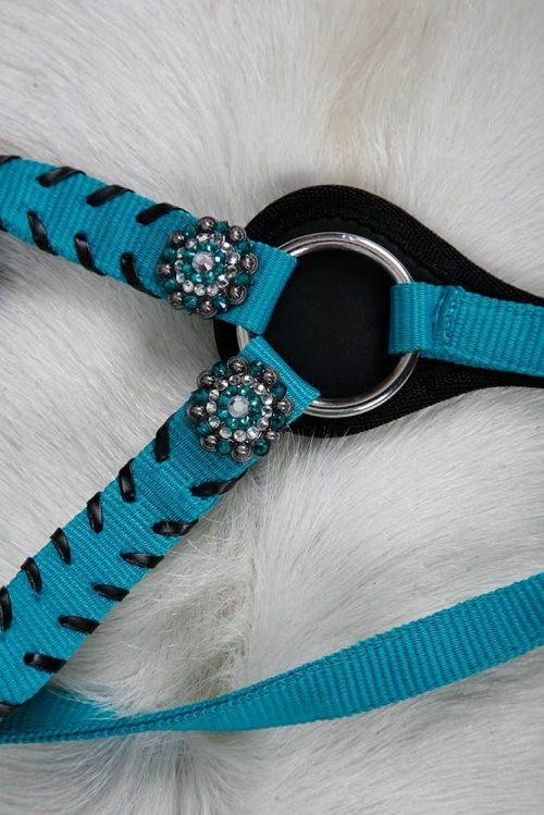 Nylon Browband headstall and breast collar set with Stitching