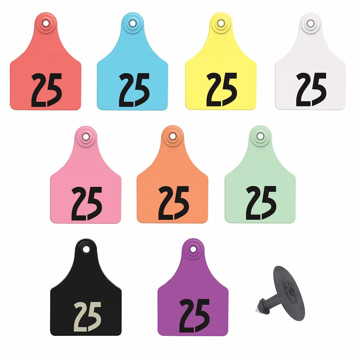 LG. Female/SM Male Black 26-50