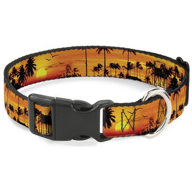 Buckle-Down Golden Sunset Black Dog Collar