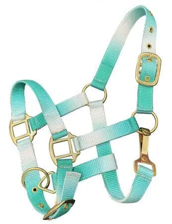 Premium nylon Pony sized ombre halter with nickel plated hardware