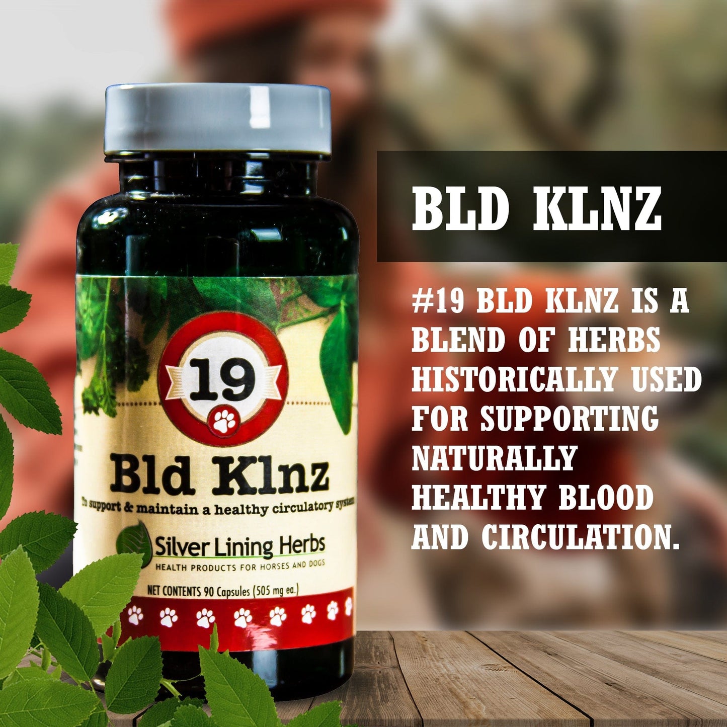 19 Bld Klnz for Canines