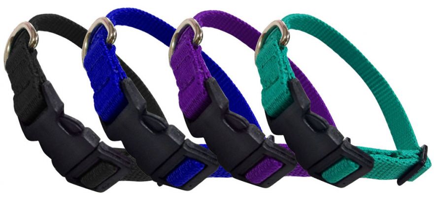 Nylon Dog Collar with Snap Buckle