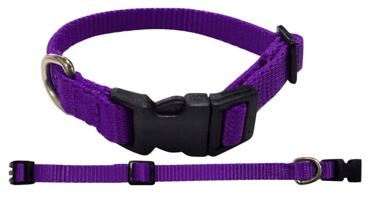 Nylon Dog Collar with Snap Buckle