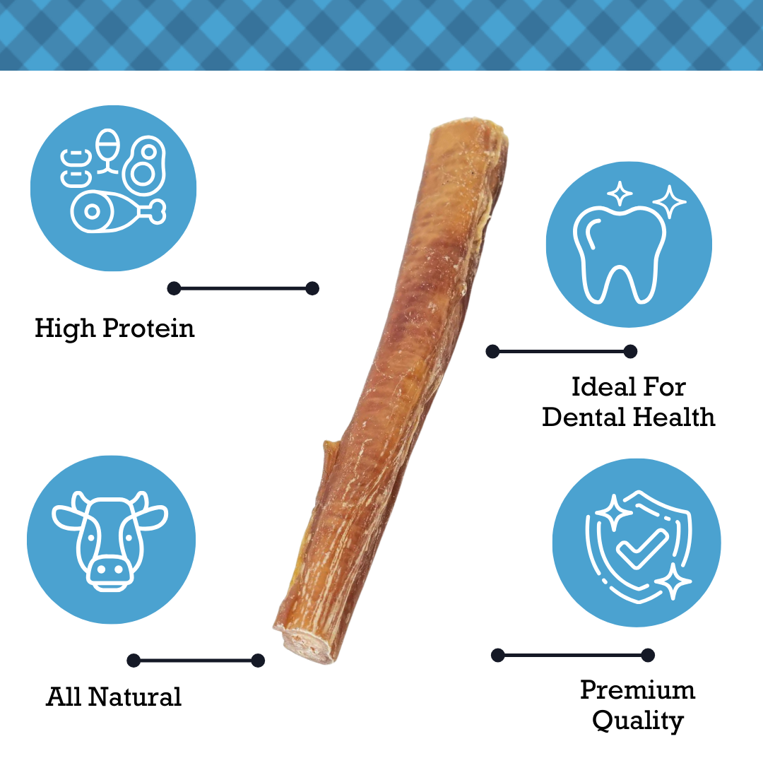 Country Living All-Natural Bully Sticks, High-Protein Dog Treats – 12-Inch Standard (10-Pack)