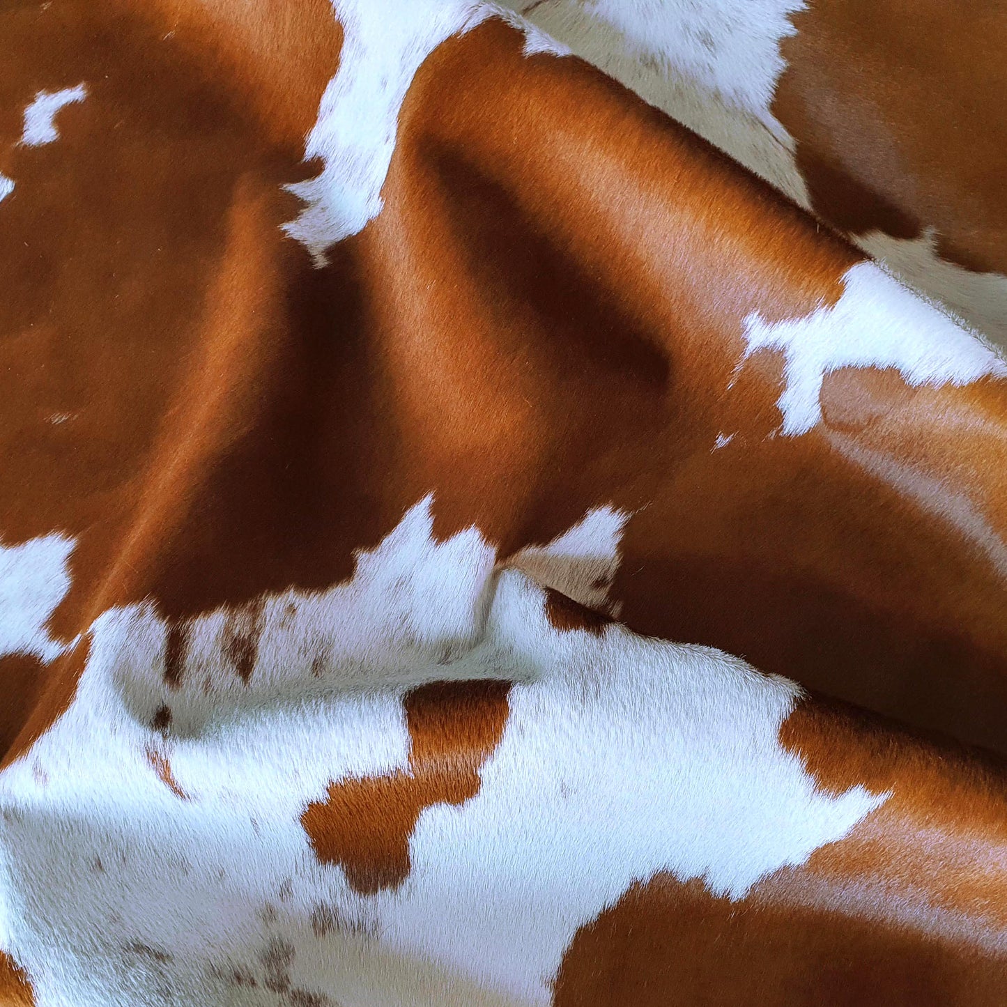 Brown and White Brazilian Cowhide Rug: XL