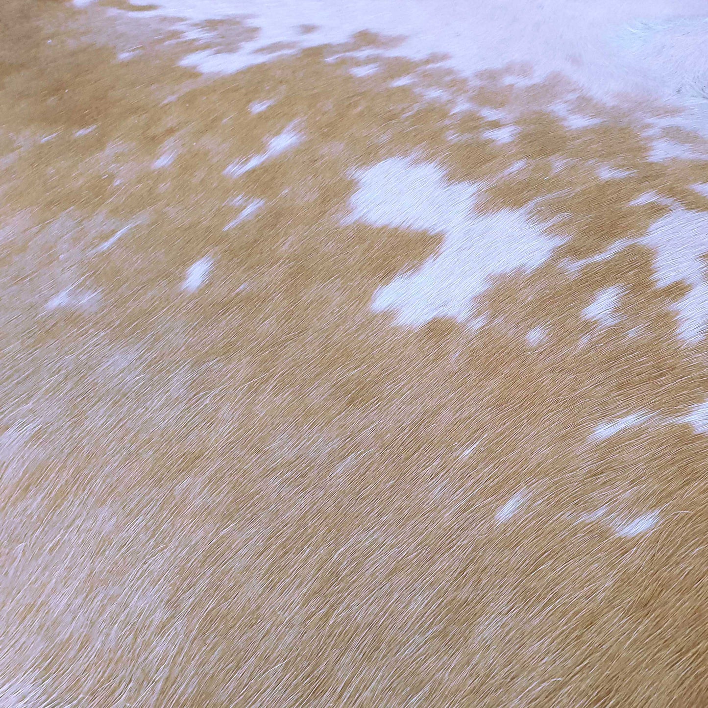 Palomino and White Brazilian Cowhide Rug: XXL