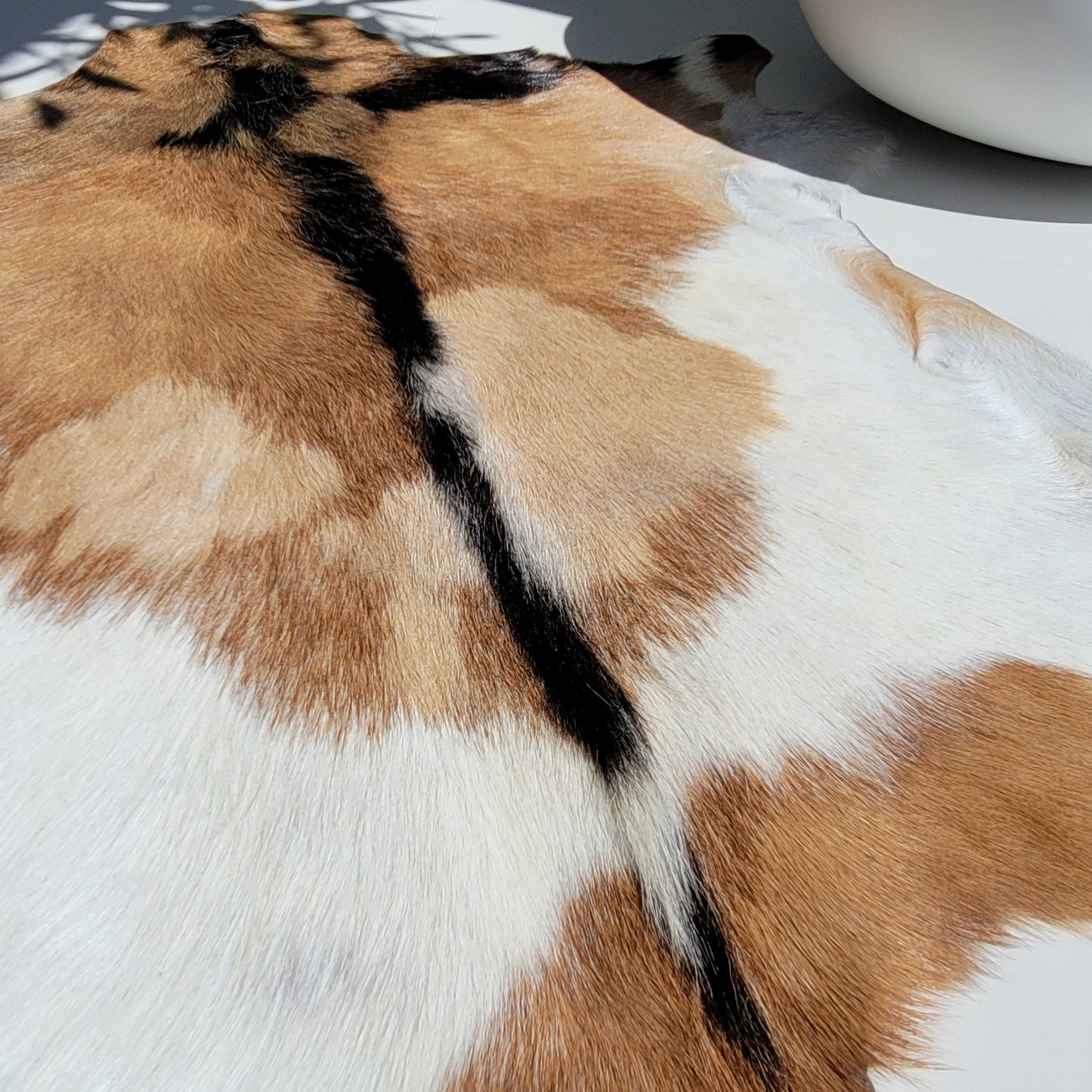 Goat Hides