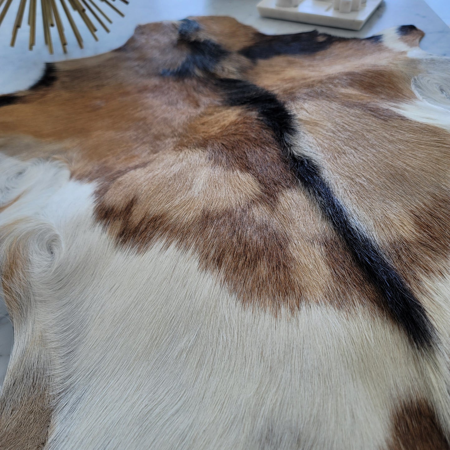Goat Hides