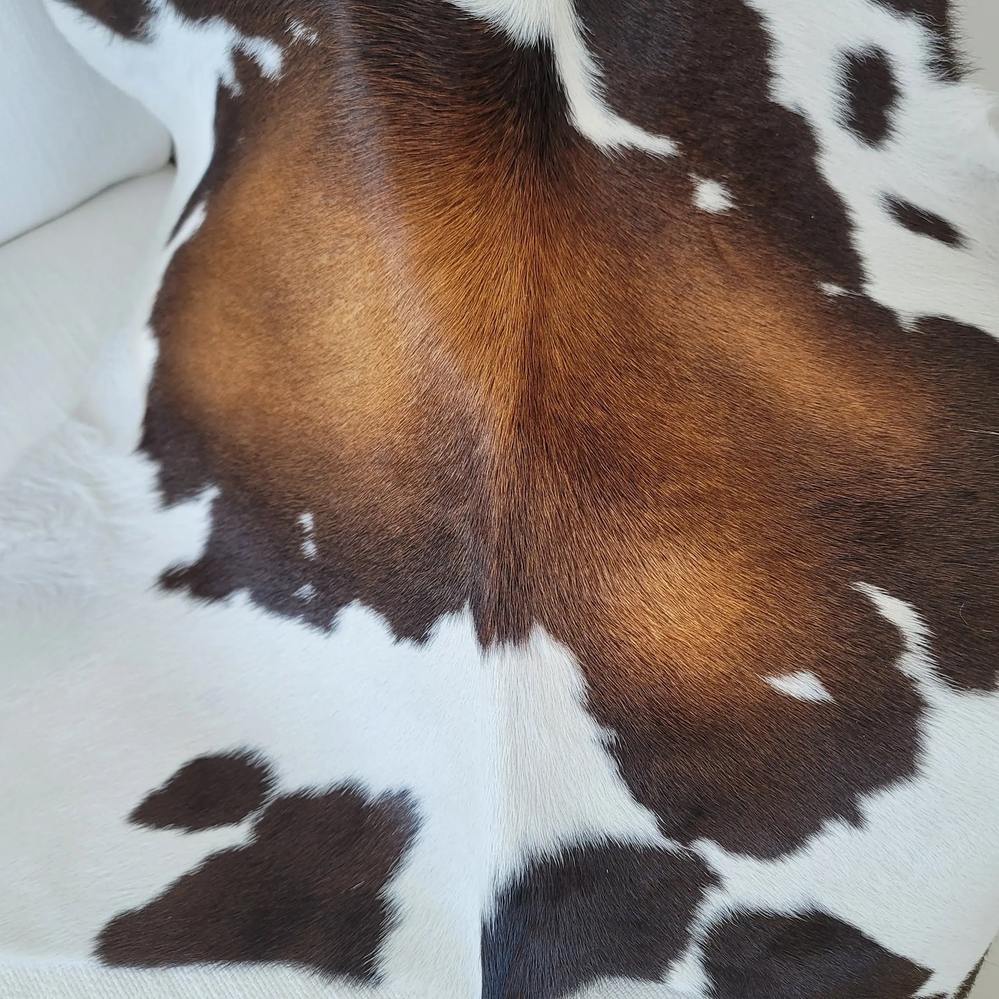 Mahogany and White Calf Hides