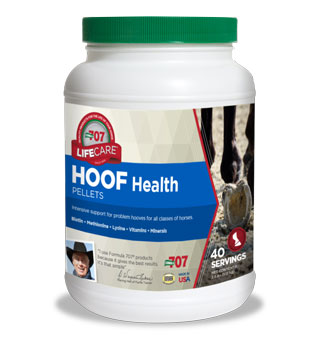 FORMULA 707 HOOF HEALTH 2.5 LB
