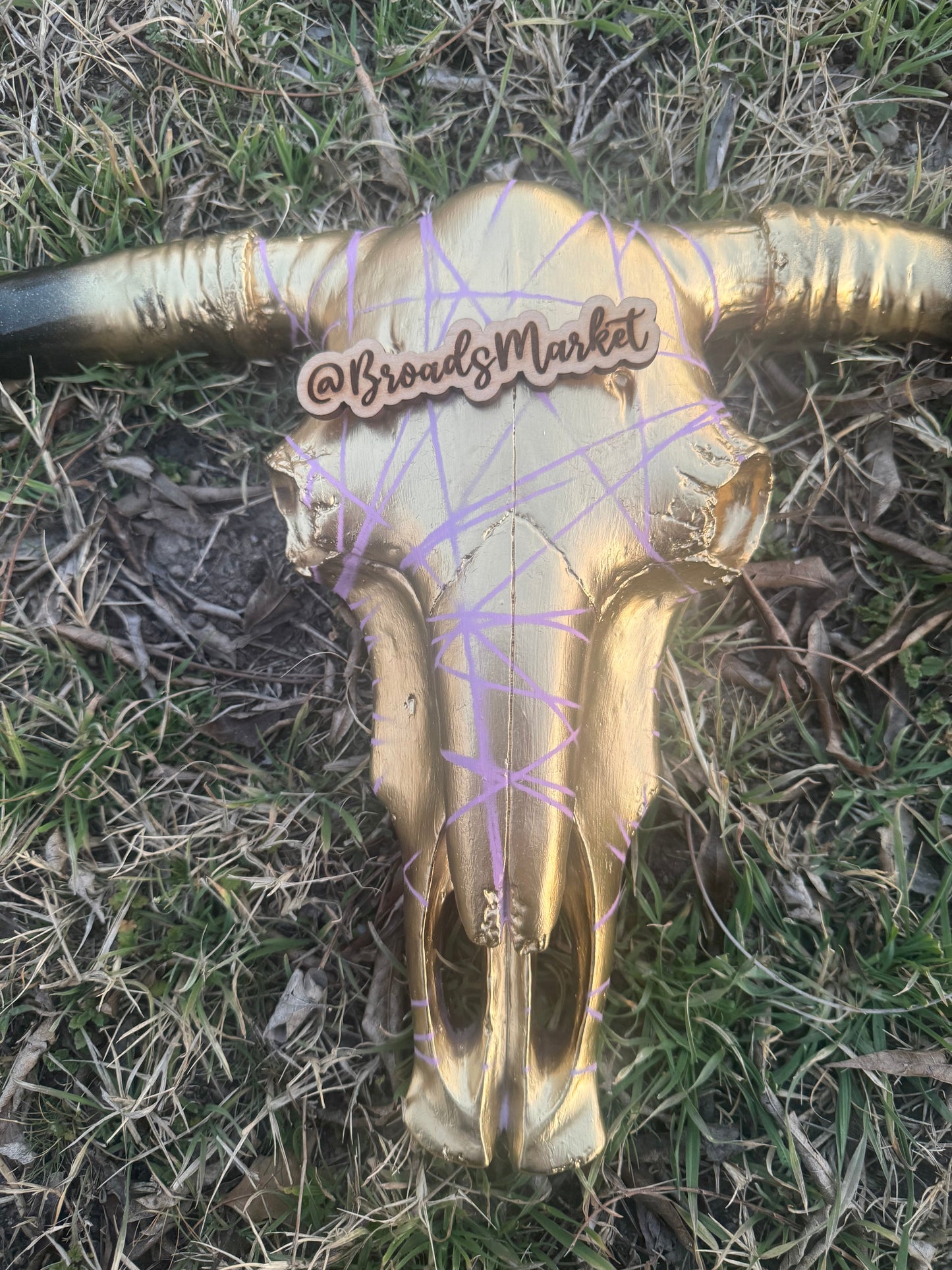 Gexa Pink Webbed Cowskull