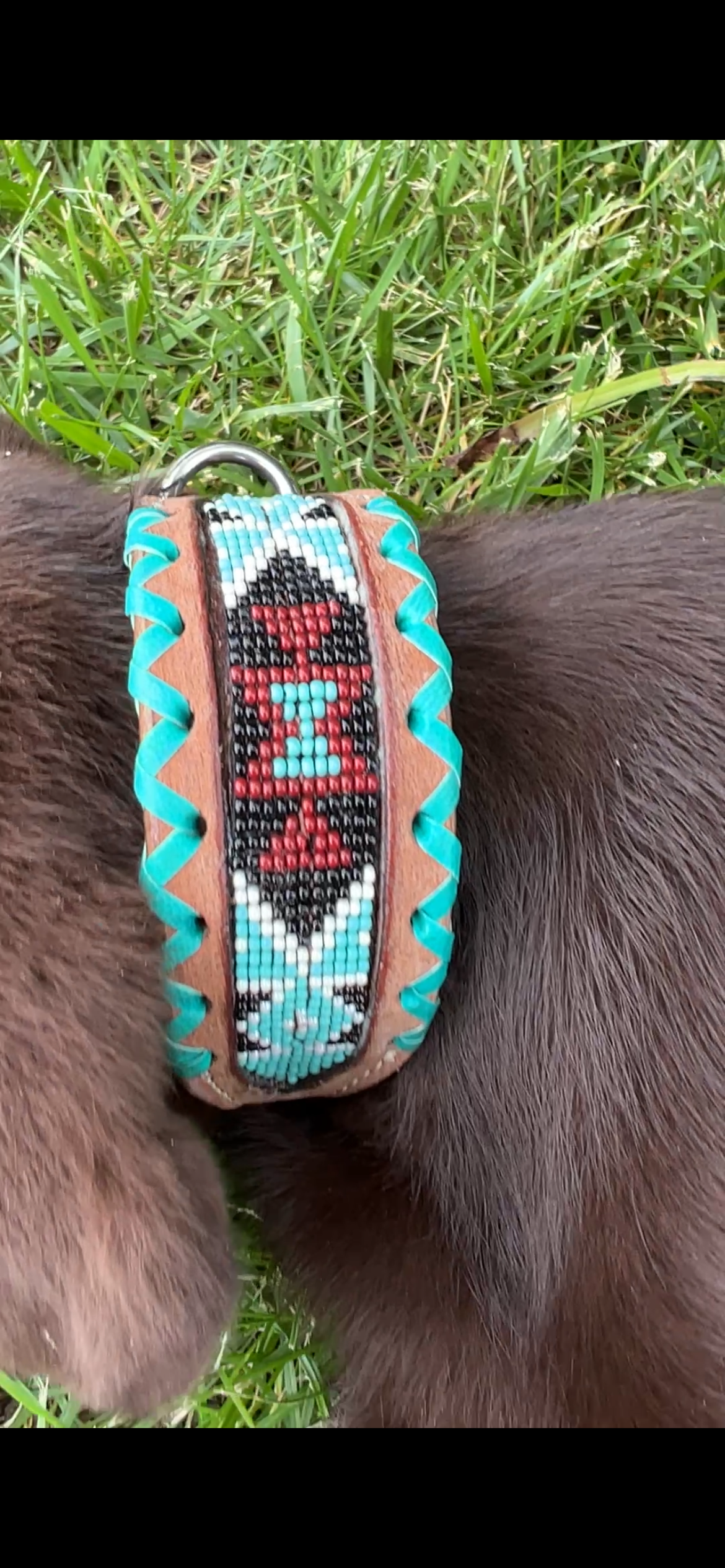 Genuine leather dog collar with teal, white, and burgundy beaded inlay design, a rawhide wrapped edge