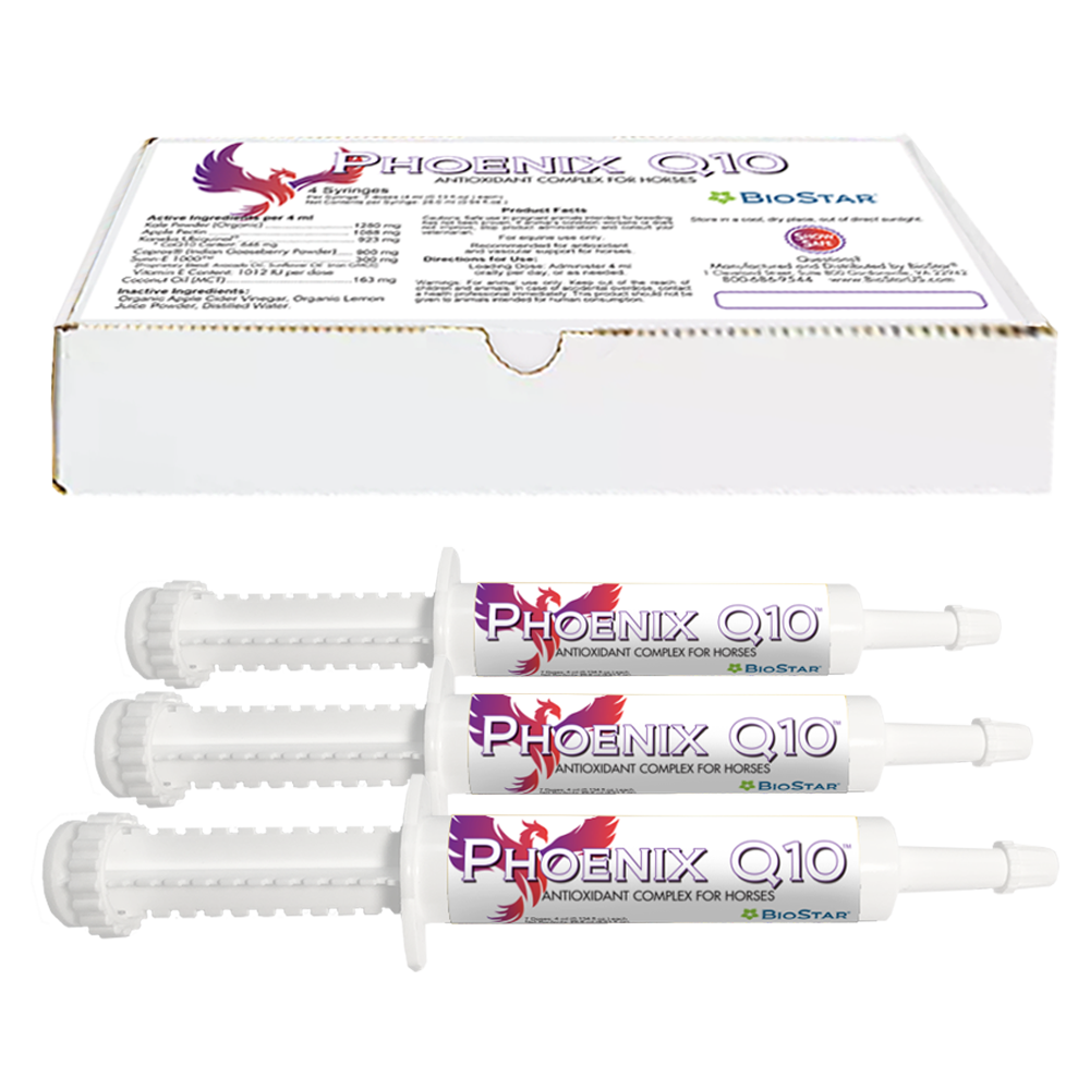 Phoenix Q10