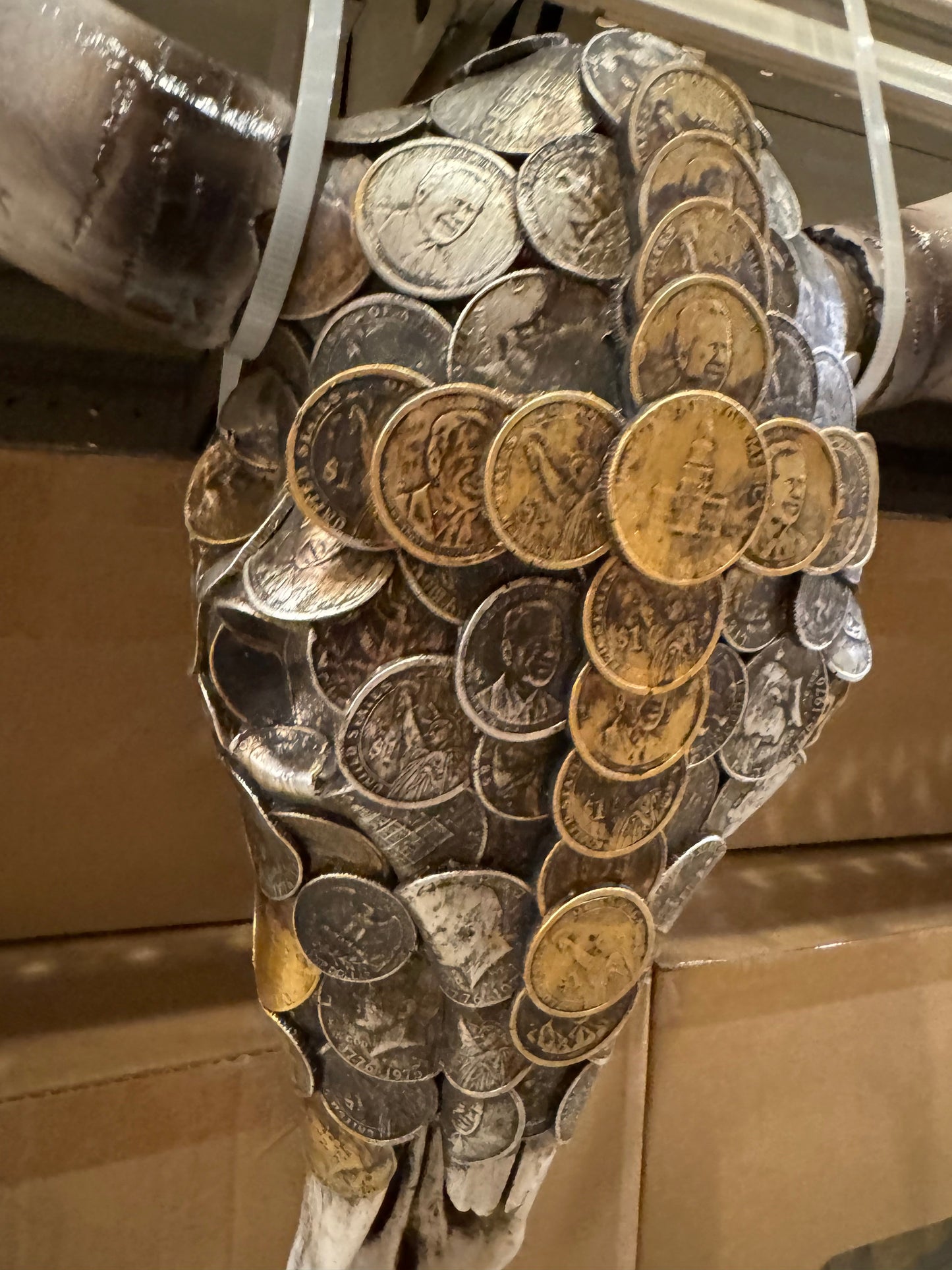 Coin Cowskull