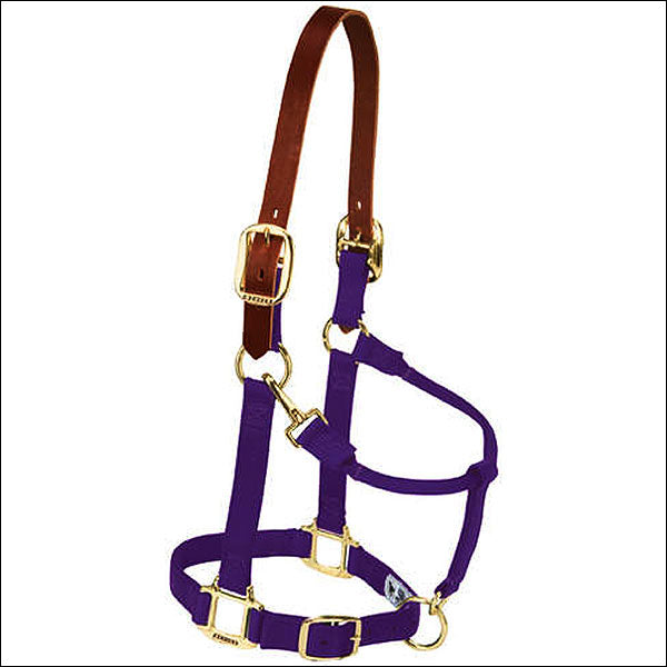 Yearling Weaver Breakaway Original Chin Throat Snap Horse Halter Purple