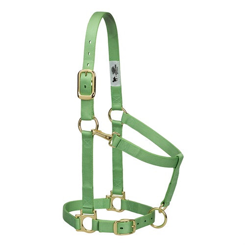 Basic Adjustable Chin and Throat Snap Halter- Average Green