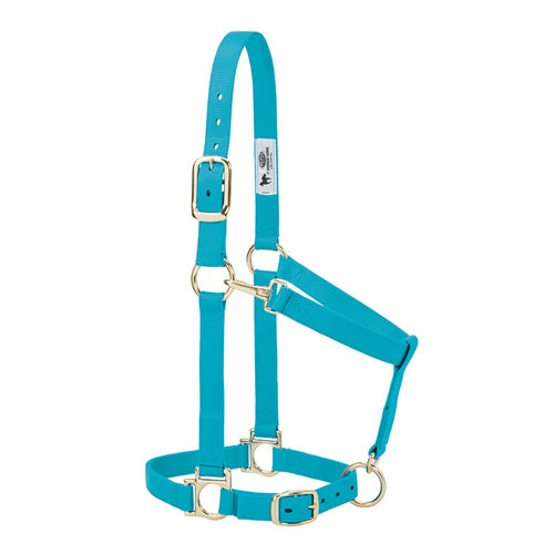 Original Non-Adjustable Halter 1" - Large Sky Blue