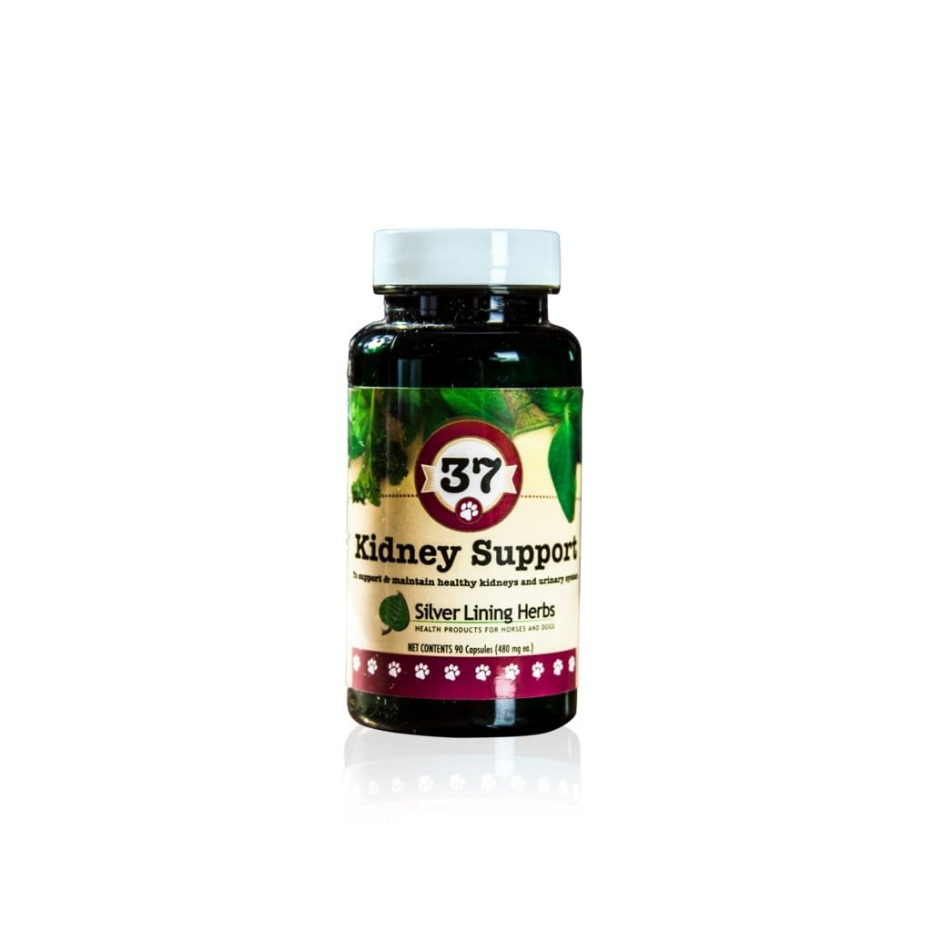 37 Kidney Support for Canines - 90 Capsule