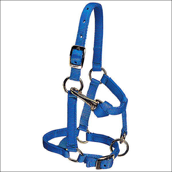 Weaver Blue Nylon Miniature Horse Adjustable Chin And Throat Snap Halter Average