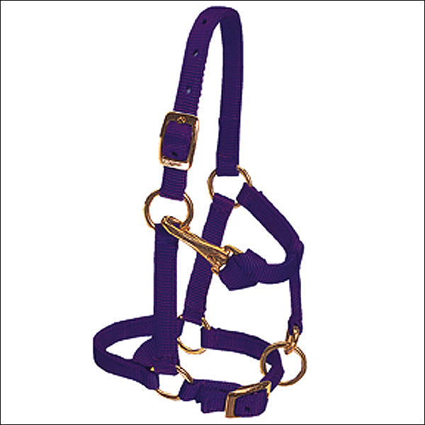 Weaver Purple Large Nylon Miniature Horse Adjustable Chin & Throat Snap Halter