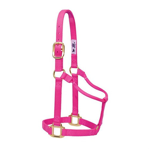Original Non-Adjustable Halter 1" - Large Diva Pink