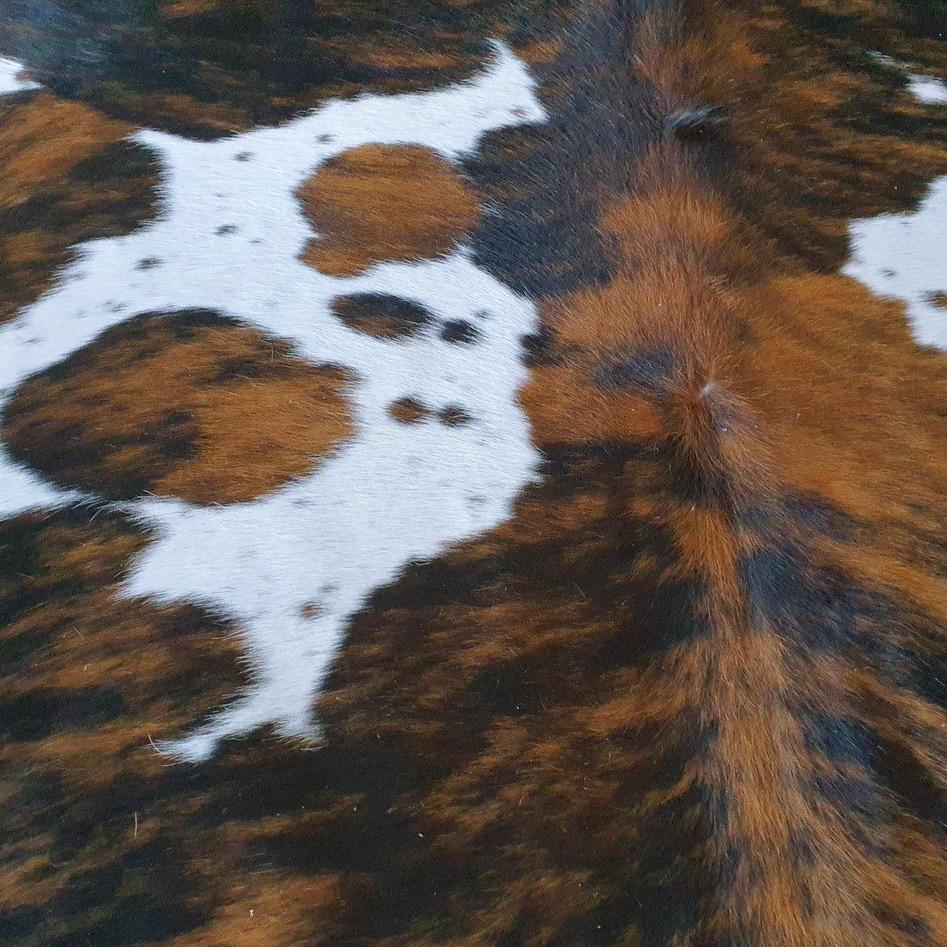 Tricolor Brazilian Cowhide Rug: XL