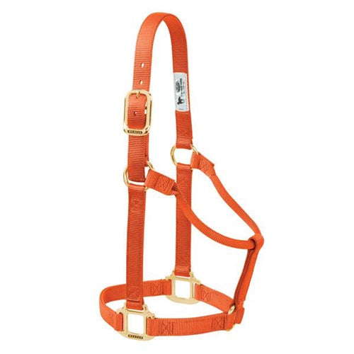 Original Non-Adjustable Halter 1" - Large Orange