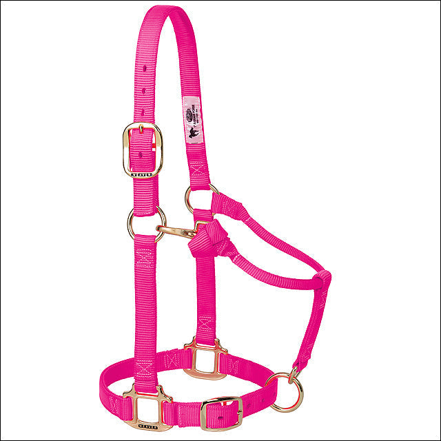 Diva Pink Weaver Western Tack Adjustable Horse Halter 1" Yearling
