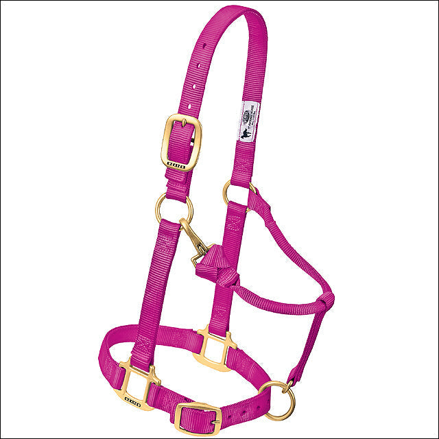 Raspberry Weaver Western Tack Adjustable Horse Halter 1" Yearling