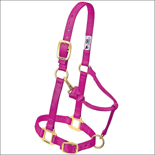 Raspberry Weaver Western Tack Adjustable Horse Halter 1" Yearling