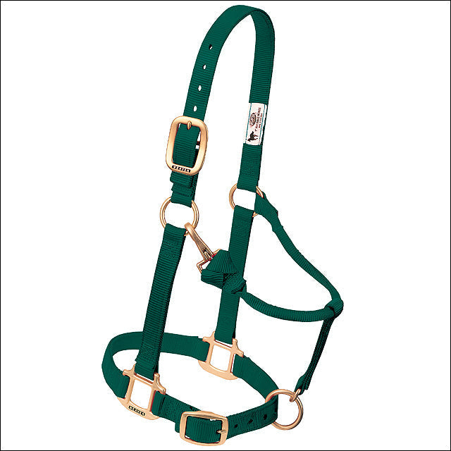 Weaver Hunter Green Horse Nylon Heat Sealed Buckle Halter Adjustable Small