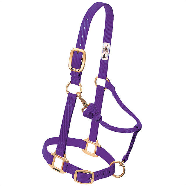 Purple Weaver Western Tack Adjustable Horse Halter 1" Average