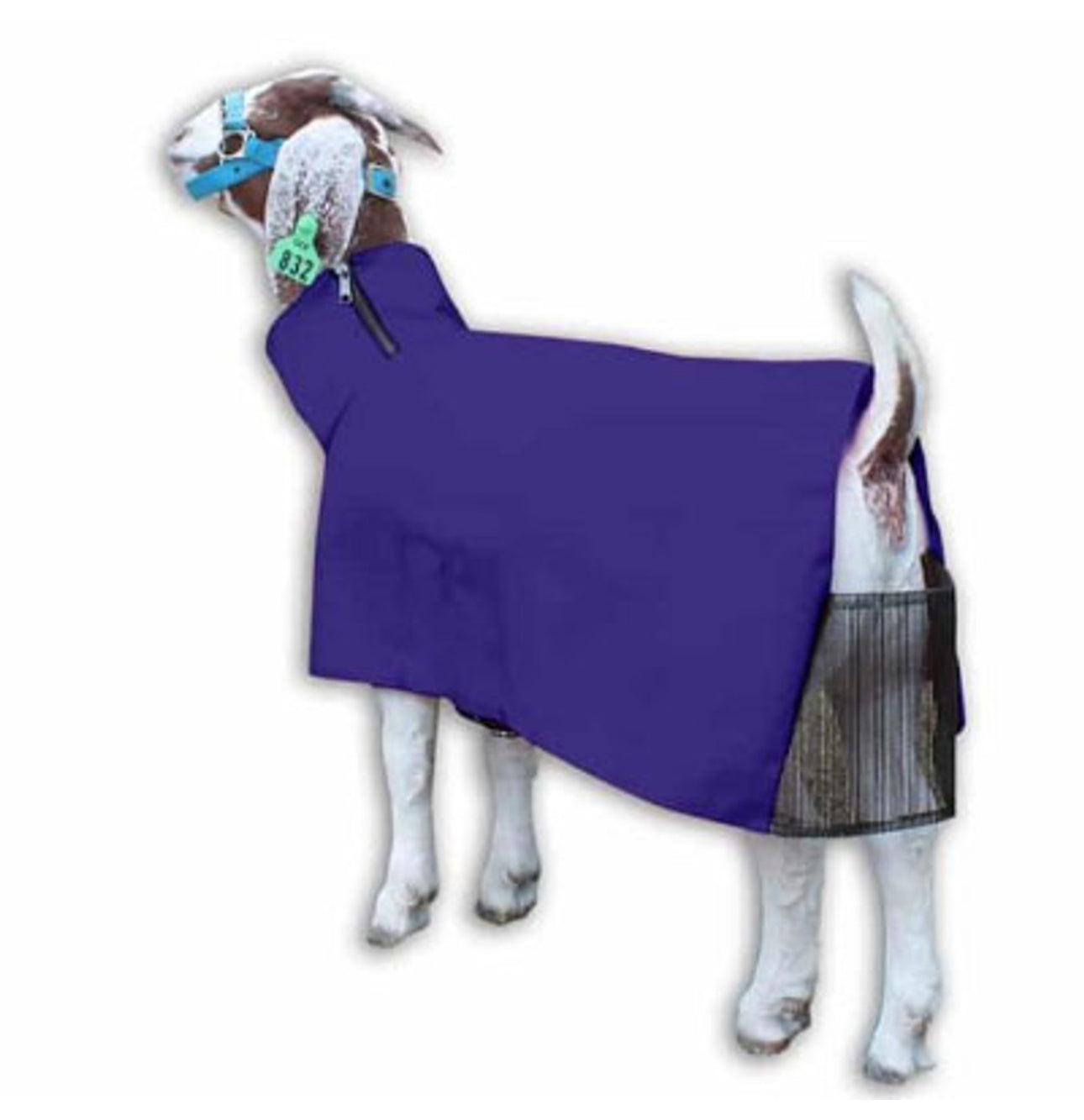 GOAT BLANKET, NYLON, LARGE, PURPLE