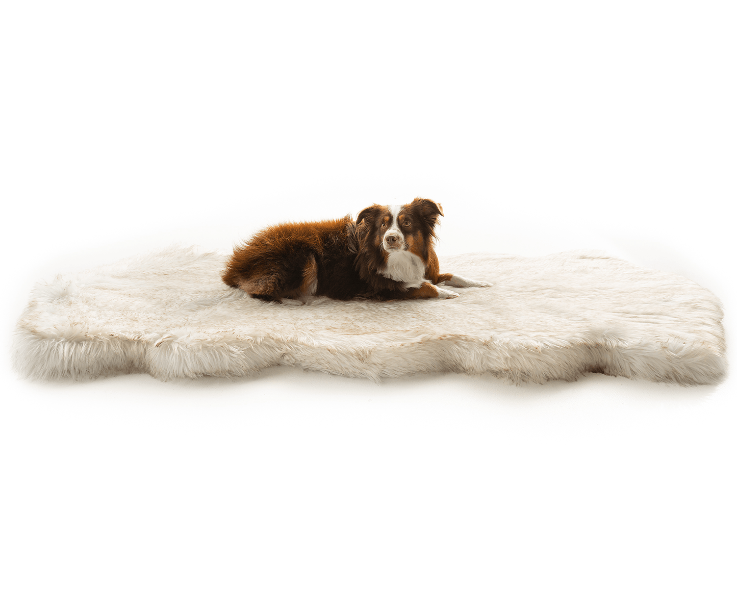 PupRug® Runner Faux Fur Memory Foam Dog Bed - Curve White with Brown Accents