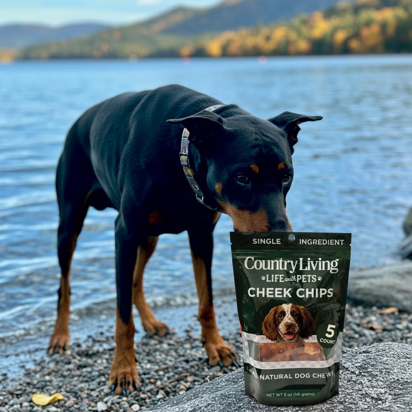 Country Living 4” x 4” Beef Cheek Chip Dog Treats – Chicken Flavor – 5 Count Bag – All-Natural, High-Protein, Long-Lasting Dog Chews