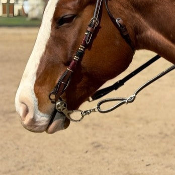 The Old 106 Snaffle