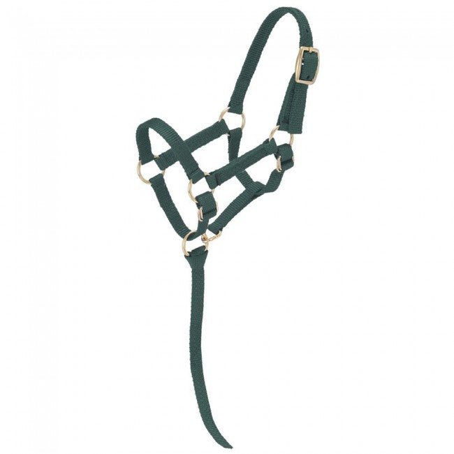 Tough-1 Miniature Nylon Halter MINI REGULAR