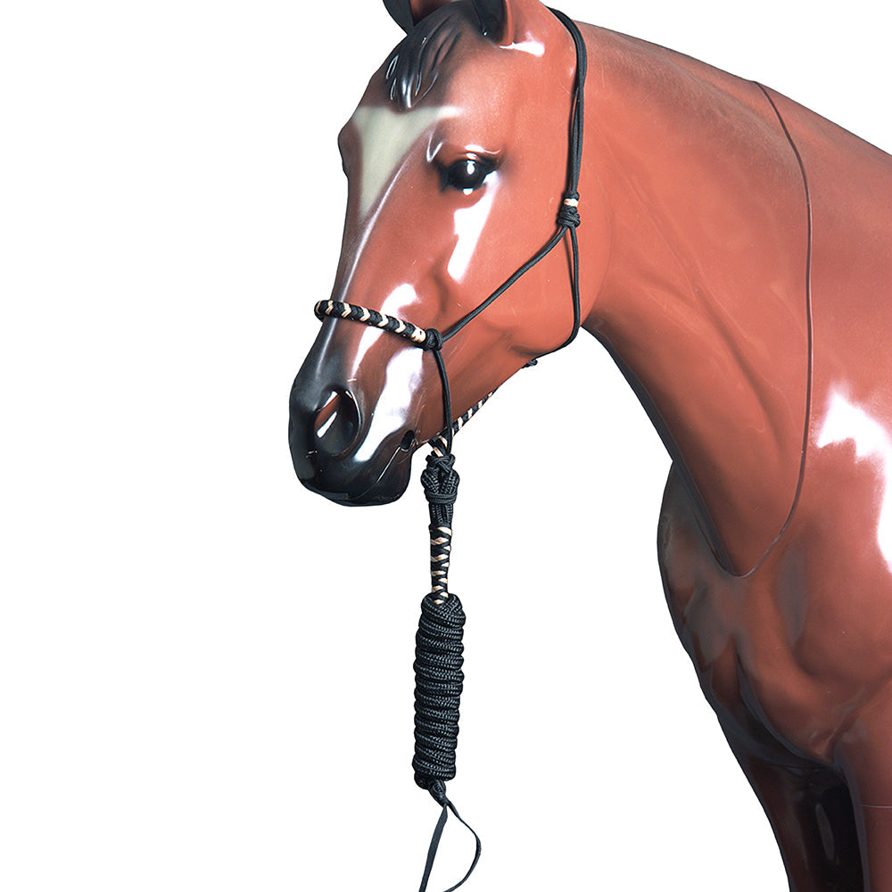 Classic Equine Horse Two Tone Nylon Halter Black Tan