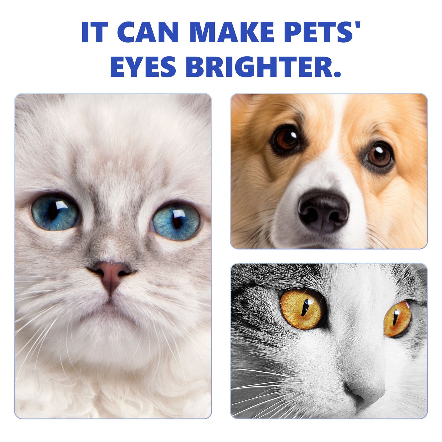 Pet Eye Drops, Cats And Dogs Eye Cleaning Care Pet Eye Wash Tear Stain Remover
