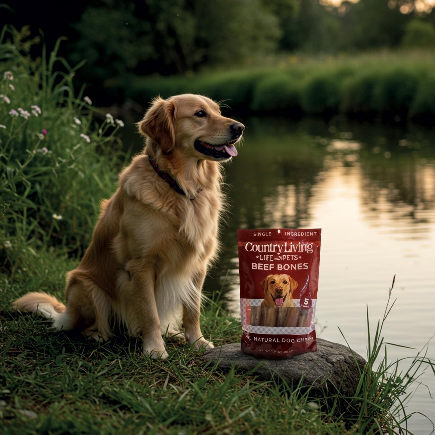 Country Living 5”-6” Beef Center Cut Bones for Dogs – 5 Count Bag – All-Natural, Long-Lasting Dog Chews – Single-Ingredient, High-Protein, Rawhide-Free – Supports Dental Health