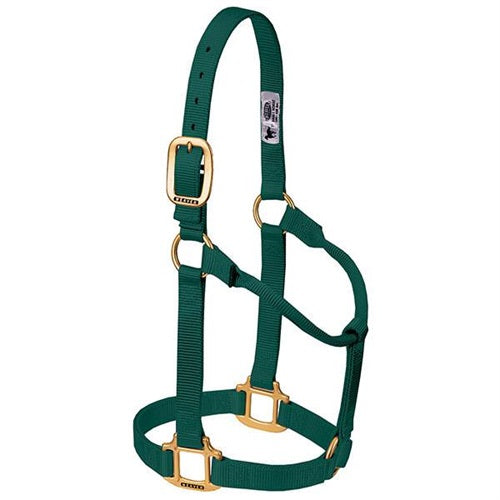 Original Non-Adjustable Halter 1" - Large Hunter Green