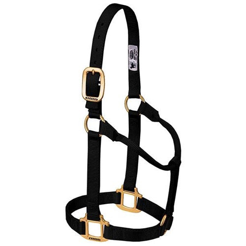 Original Non-Adjustable Halter 1" - Large Black