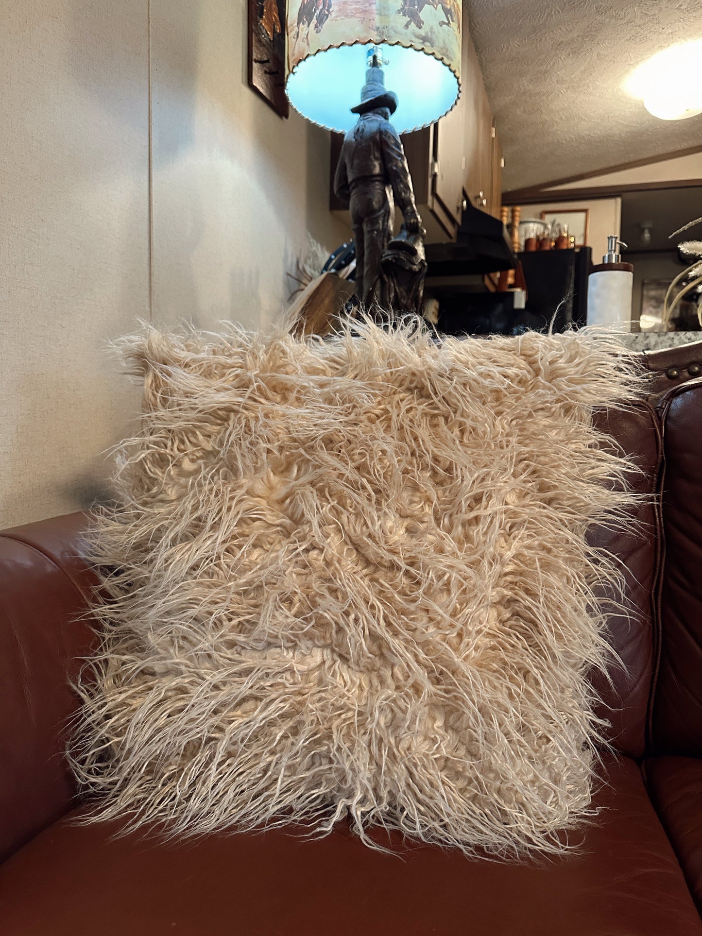 The Mongolian Pillow