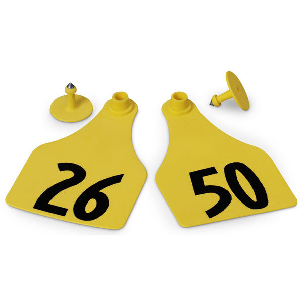 LG. Female/SM Male Yellow 26-50