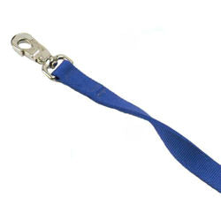 1" DOUBLE LAYER NYLON LEASH 4' BLUE
