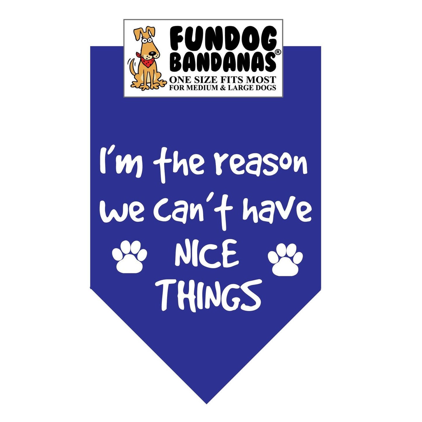 I'M the Reason We Can't Have Nice Things-Made in USA