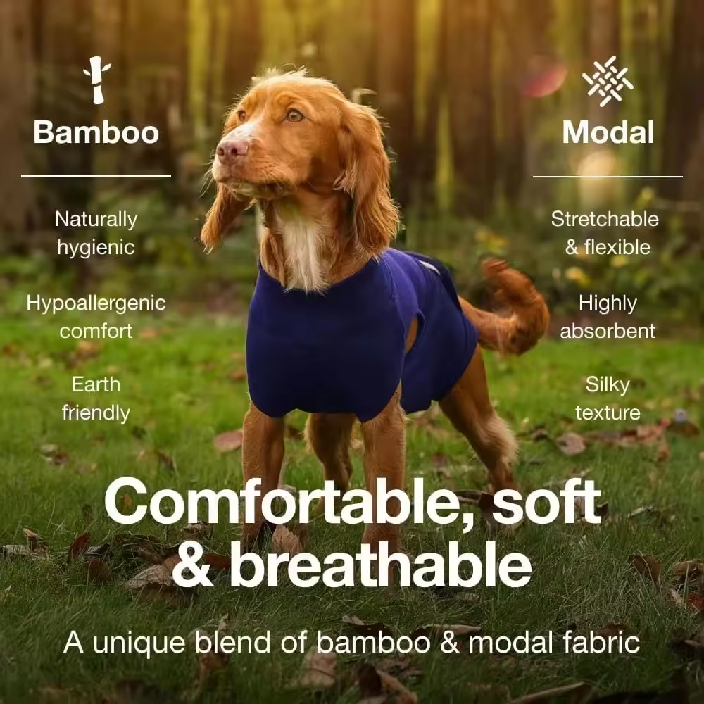 Pet sterilization suit wound anti licking suit suitable for all body types of dogs surgical recovery clothing set 