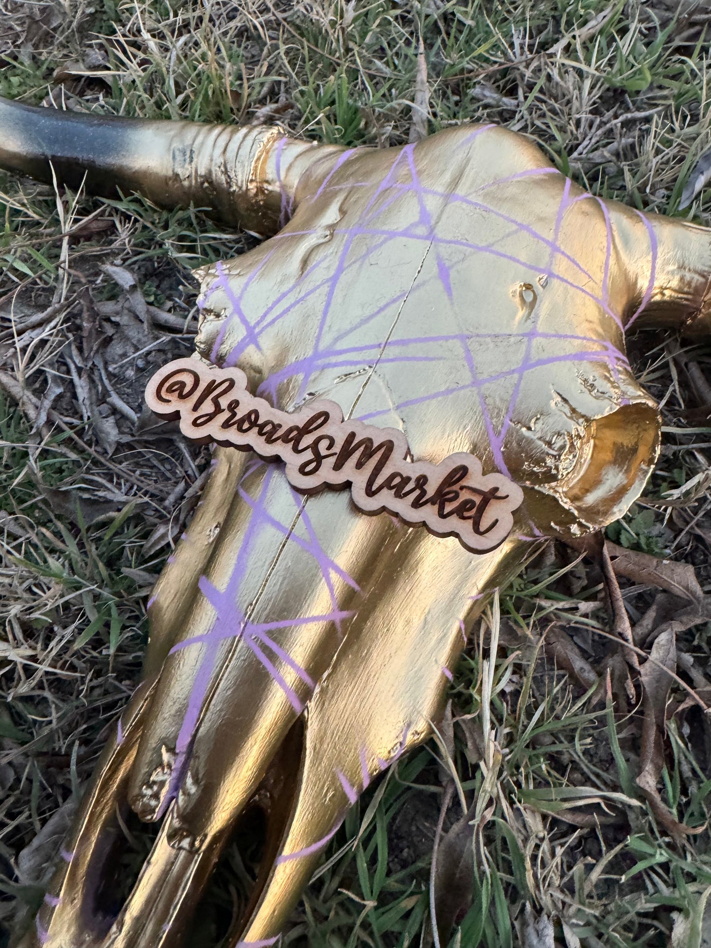 Gexa Pink Webbed Cowskull