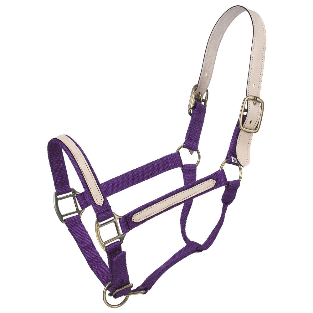 Tough 1 Double Ply Nylon Break Away Horse Size Halter Single Leather Purple